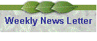 Weekly News Letter